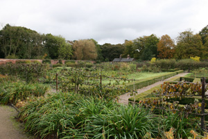 The walled kitchen garden today