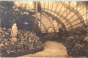 Palm House Interior, early 1900s